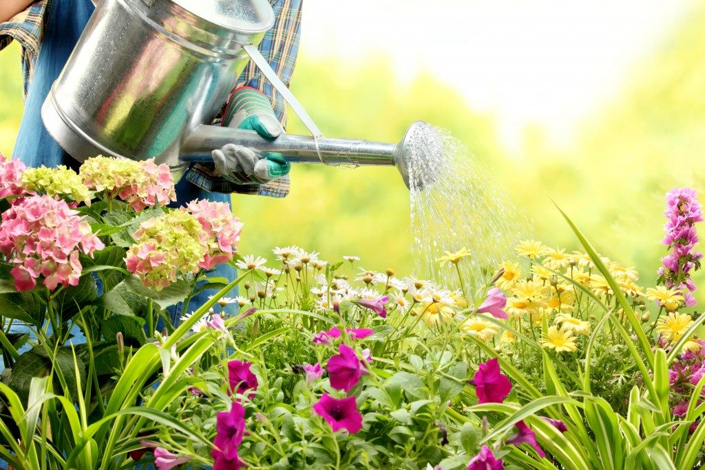 watering flowers in garden center