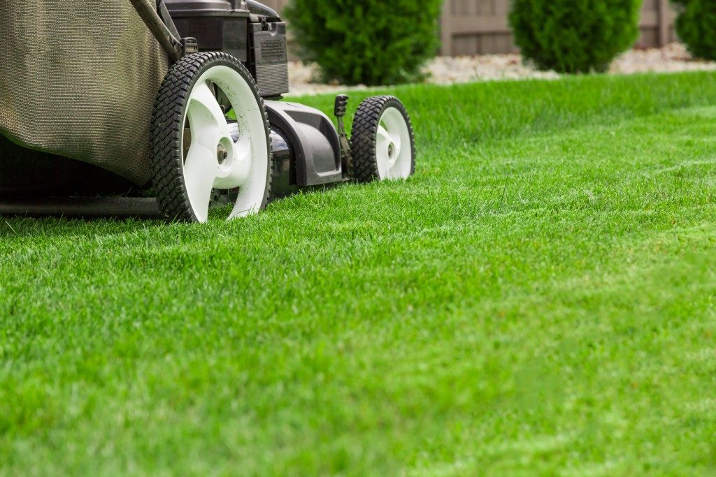 Mawing the lawn using a lawnmawer