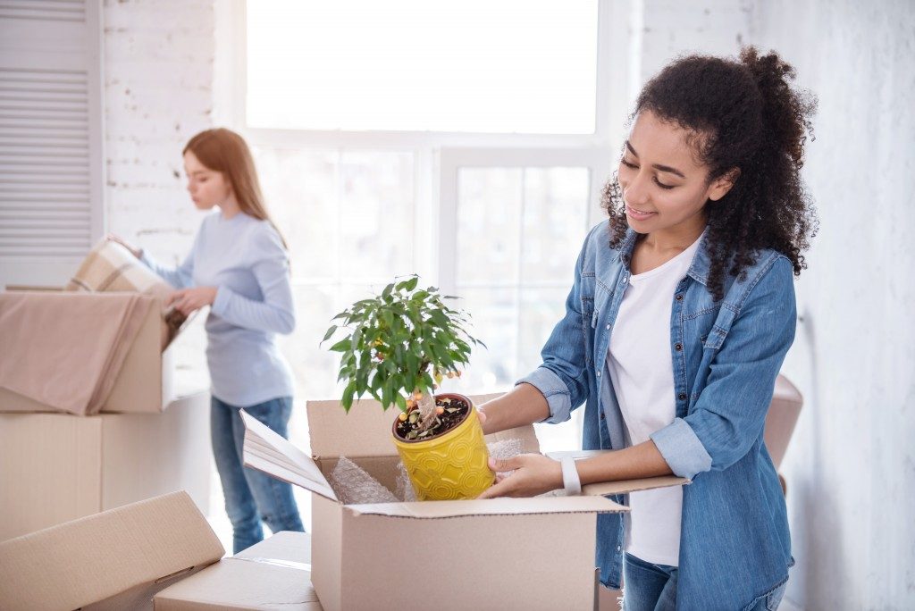 Preparing new flat. Beautiful upbeat girl unpacking a plant out of the box while her roommate retrieving a blanket