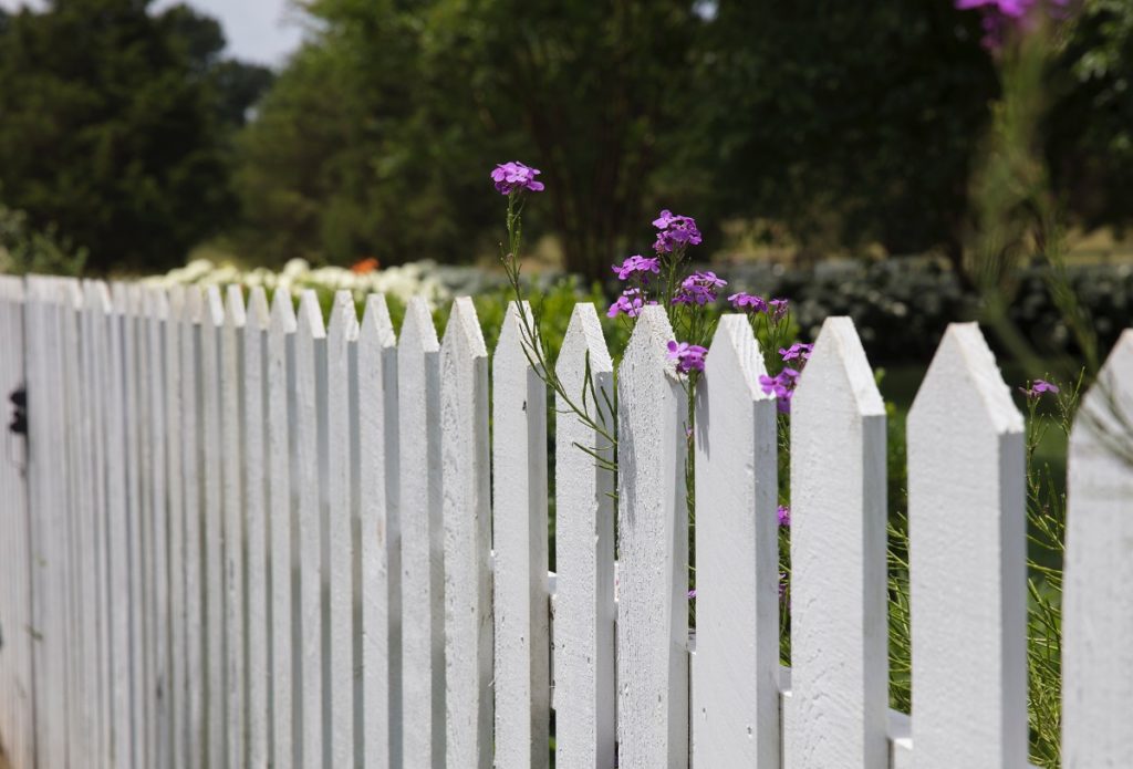 Fence